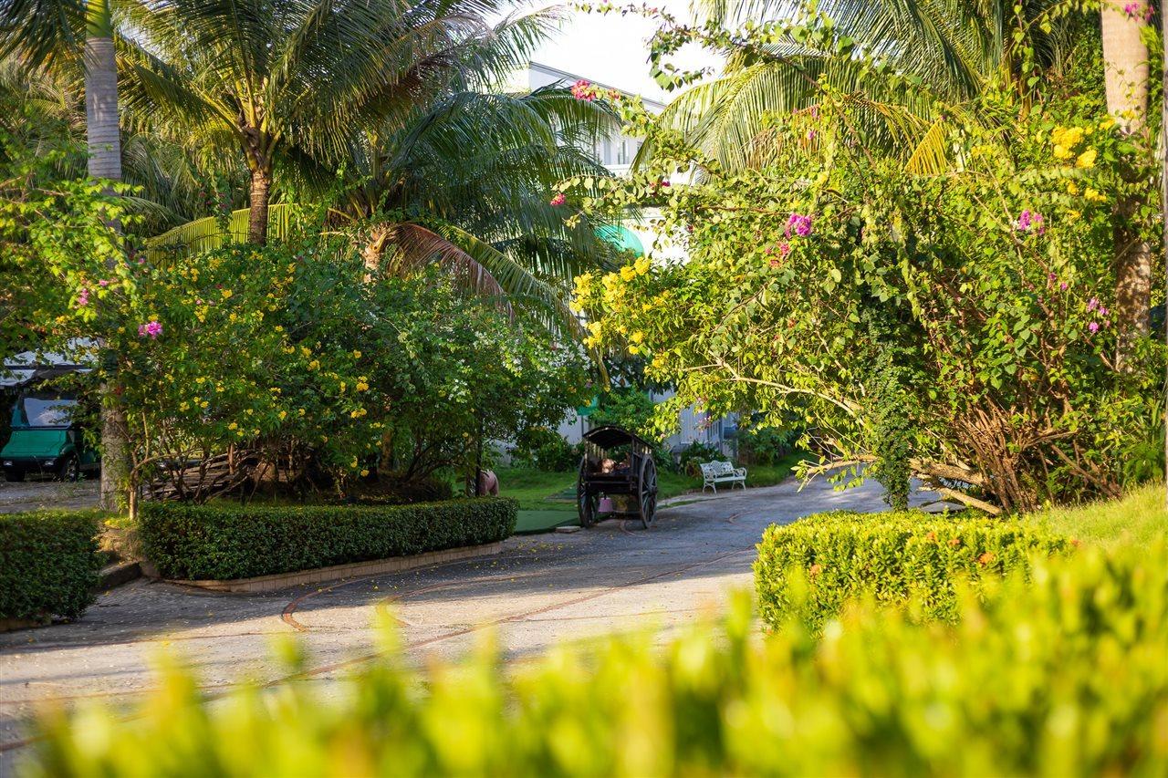 Dưỡng Và Phú Vân 3* Phú Quốc